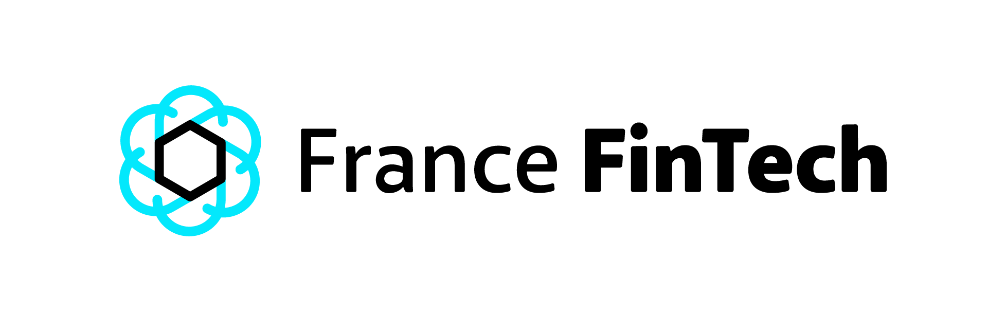 Logo de France FinTech, association de l'écosystème fintech français